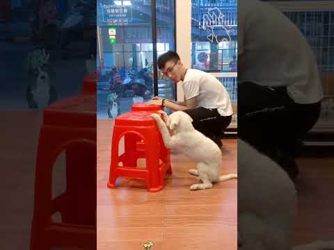 Phillies land All-Star closer Jhoan Duran ahead of MLB trade deadline 👀🔥 #jhoanduran