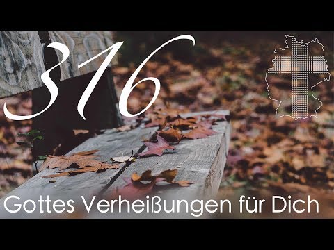 Gottes Verheißungen für Dich - Galater 5,22 | Videokalender 316/365 - Deutschland braucht JESUS