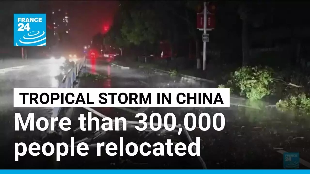 Dolphin: Tropical storm causes some flooding in eastern China • FRANCE 24 English