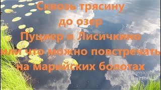 Озеро сорочье марий эл рыбалка
