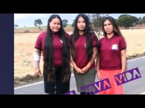 fontes da nova vida ( hesu pe araire)