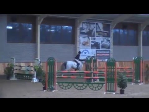 Edalma (Zirocco Blue x Indoctro) 1.20 m Asten