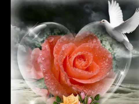 Se aud pașii Lui pe drum 💞