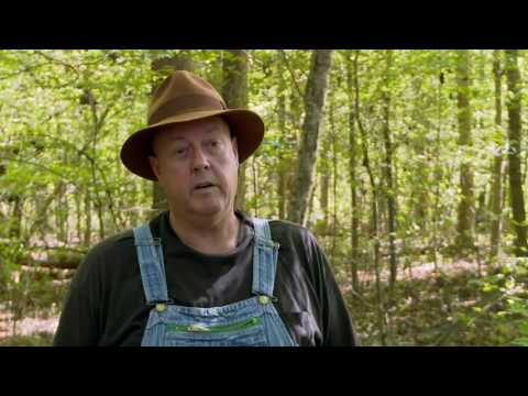 Alcool de contrebande 5: ils se sont fait attrapper par le Sheriff