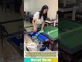 Clean mahjong tile with special cleaning machine: portable mahjong compendium automatic table works