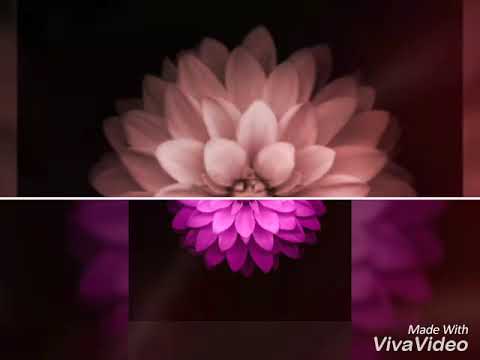 Kasih Sejati (Abdullah Cik &Rokiah Wanda)