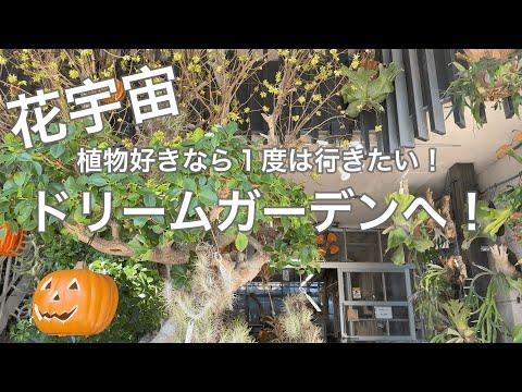 園芸 敏感な植物