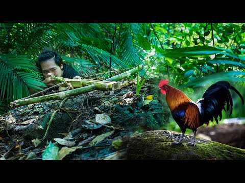 Crossbow Crafting Skills - Hunting Gently Like a Predator/ An Vs Wild, Part 4