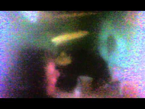 Śpiew skowronka o poranku.