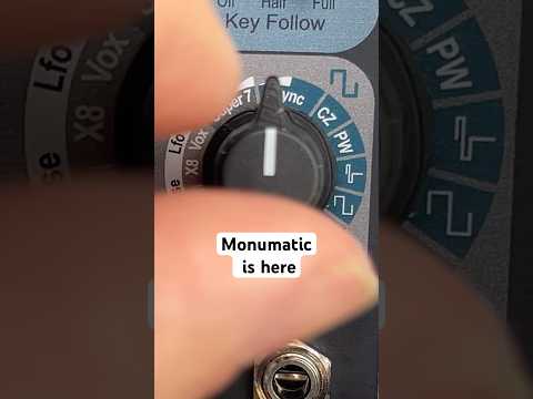 Monumatic synth voice for #eurorack #synthesizer #modularsynth