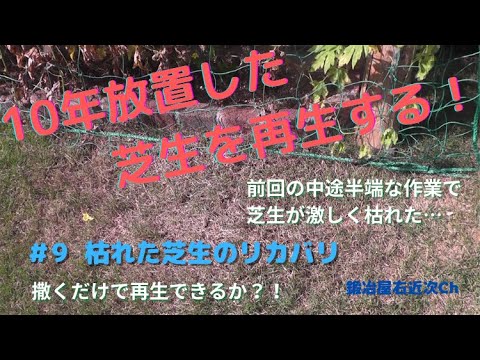 芝生を再生する