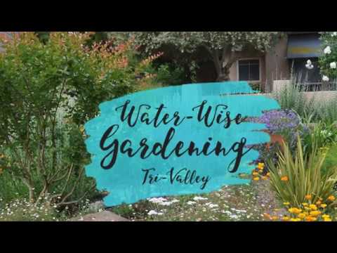 Video thumbnail: How to use the Tri-Valley Water-Wise Gardening website