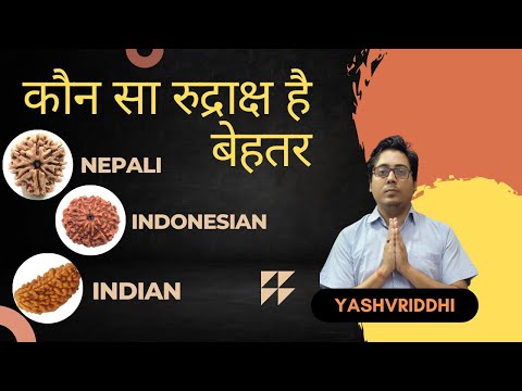 Which Rudraskha is better Indonesian rudraksha vs nepal rudraksha in hindi