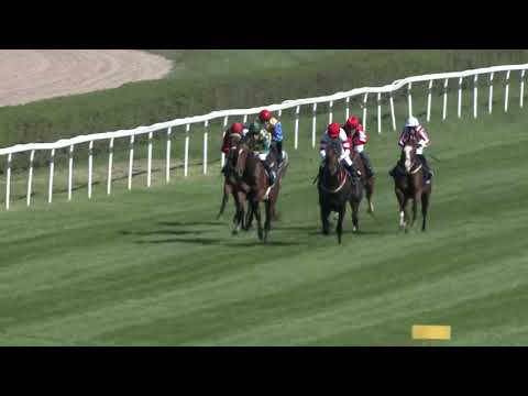 2018.09.09. 04. futam - TATTERSALLS - OVERDOSE DÍJ (HUN Gd-2) (NGL-IX.)