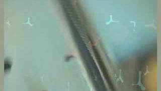 ChasesTroughCarwash_ batteryOperated_beewoo