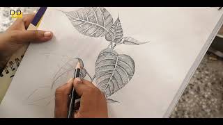 Live Drawing , How to Draw Tree Leaves Peepal Tree , Easy Drawing