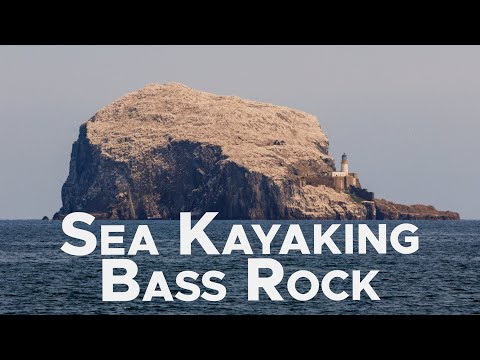 Sea Kayaking Bass Rock - July 2024