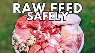 How To Raw Feed Your Pets Safely