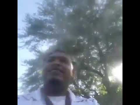 YNWF Hood Fest!!!! #YNWFDaMafia