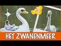 De zwaan: de grootste watervogel van Nederland?!  | DierenpraatTV