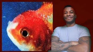 Vince Staples - Big Fish (Reaction/Review) #Meamda
