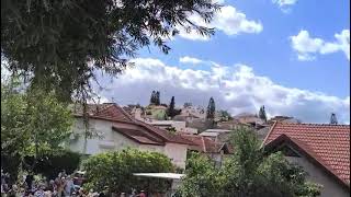 עדלאידע (צילמה שושי בלבין)