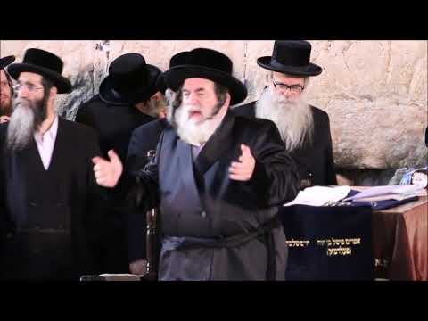 Viznitz Rebbe  At The Kosel - Nissan 5778