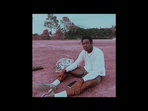 (FREE) TYLER THE CREATOR X ASAP ROCKY TYPE BEAT "WANT U"