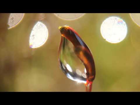 Deepmix Moscow - Amesh - Cartoon Studio: Loves Secret Domain