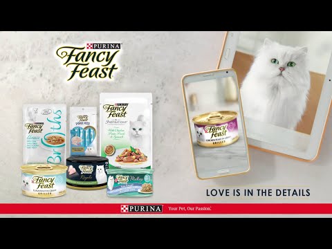 Fancy Feast – Love is in the Details