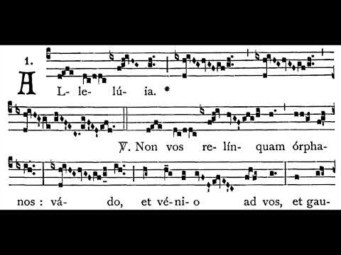 Sunday after Ascension ALLELUIA #2:  Non vos relínquam órphanos  (solfeggio)