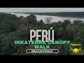 Amazon Forest Inkaterra Canopy Walk In 4K Puerto Maldonado Peru