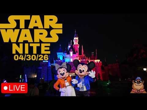Live webcam of Koda Bear the Explorer 