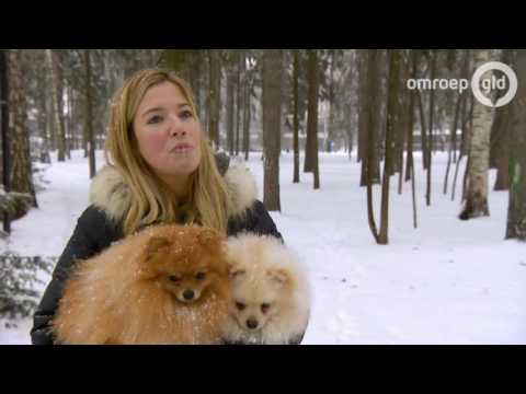 DE WONDERE WERELD VAN DE BUTTNERS 19 december 2016