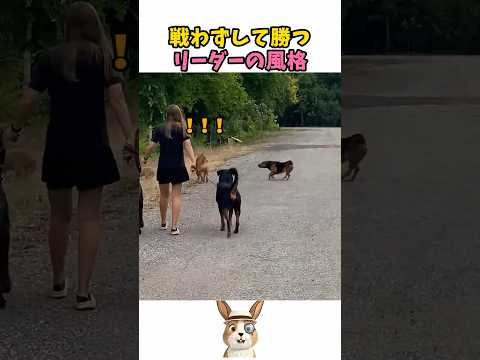 カリスマだけで勝つ リーダーの風格
