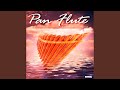 Pan Flute in the Forest
