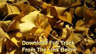 Karina Pasian - Just 'Cause ( 2o1o ).avi