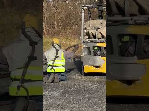 Total Forklift Restoration