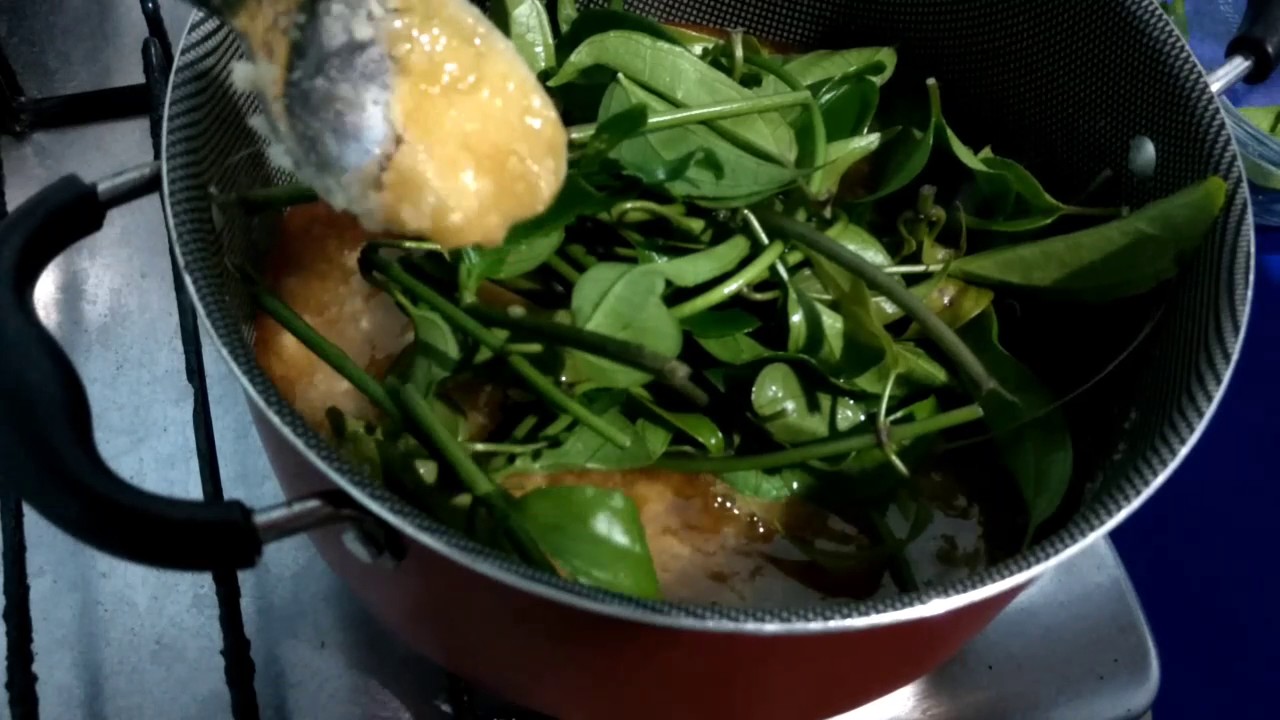 Xarope de guaco muito fácil de fazer prático e gostoso