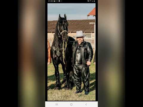 STEFAN DE LA BARBULESTI - PENTRU BANEL CAMATARU (2021)