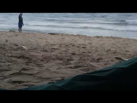 El Lemar Beach Resort