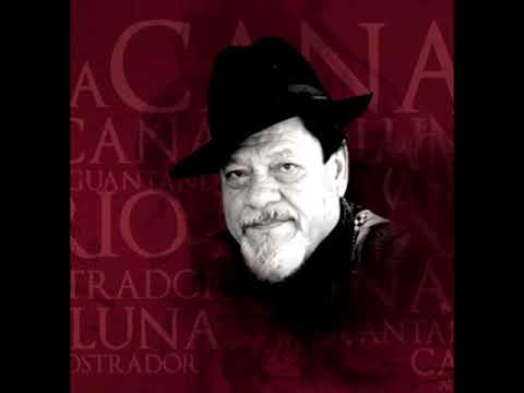 canario luna   a los cuadros chicos