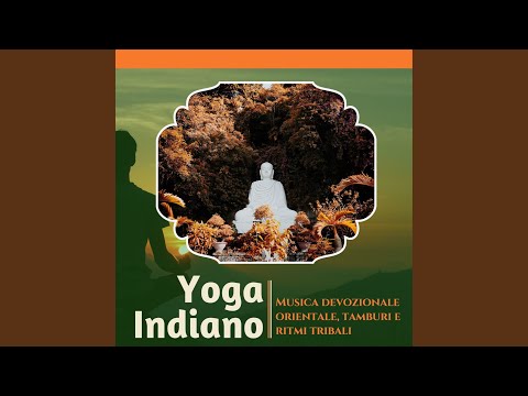 Concentrazione assoluta