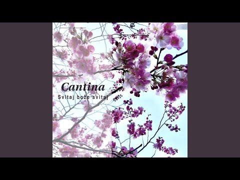 Dyž Jsem Byla U Maměnky Domě