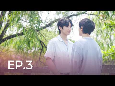비디오 17