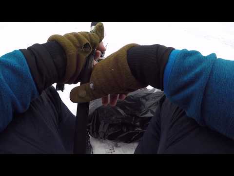 UUSI SARJA! | JÄTTIHAUKEA KOHTI!!! Osa. 1/3