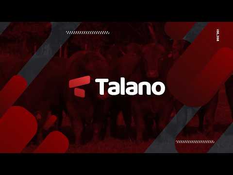 🔴EN VIVO | 144° Remate Televisado, desde Rufino, Santa Fe - TALANO HERMANOS S.R.L | 15-05-26🔴