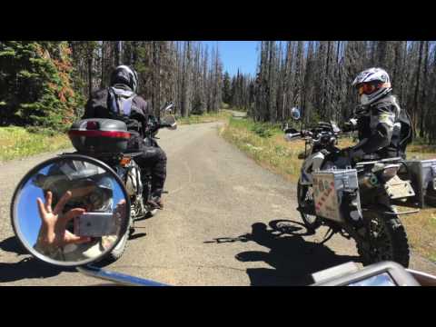 WABDR - 2016 // Section 1-6