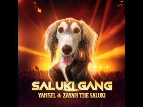 Yansel ft. Zayan The Saluki - Saluki Gang (Official Visualizer)