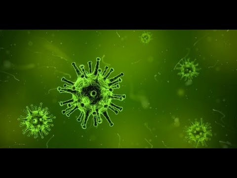 Ist Gentechnik gut oder schlecht ?